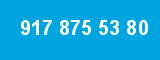 917 875 53 80 917 875 53 80